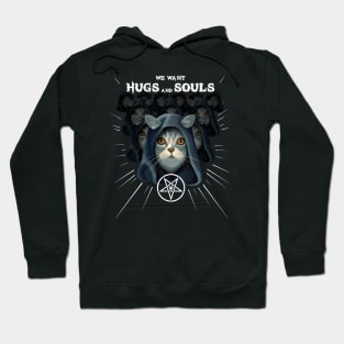 Funny satanic cat conspiracy Hoodie